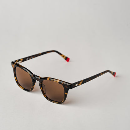 Impostor - Tortoise/Brown