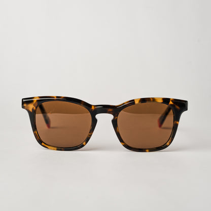 Impostor - Tortoise/Brown