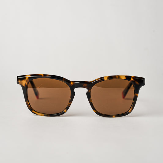 Impostor - Tortoise/Brown